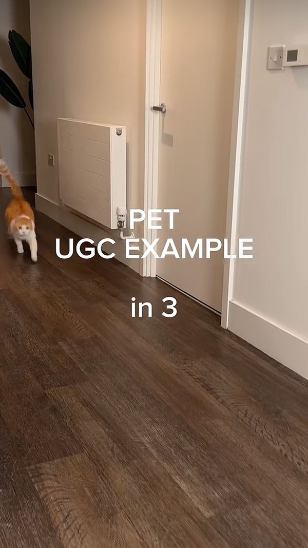 Pet UGC — @ugcliza